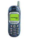 Best available price of Motorola T190 in Turkey